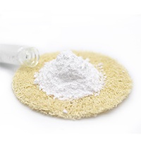 Glucono Delta Lactone CAS 9000-70-8