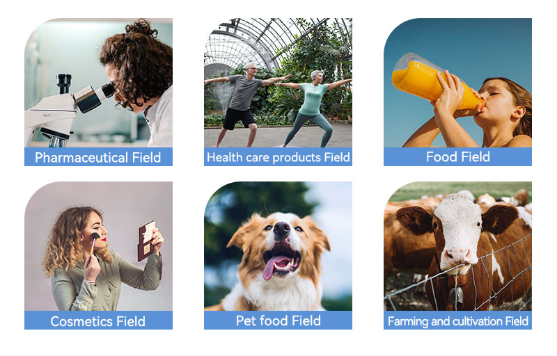 Vitamin C CAS 50-81-7 Vitamin C CAS 50-81-7