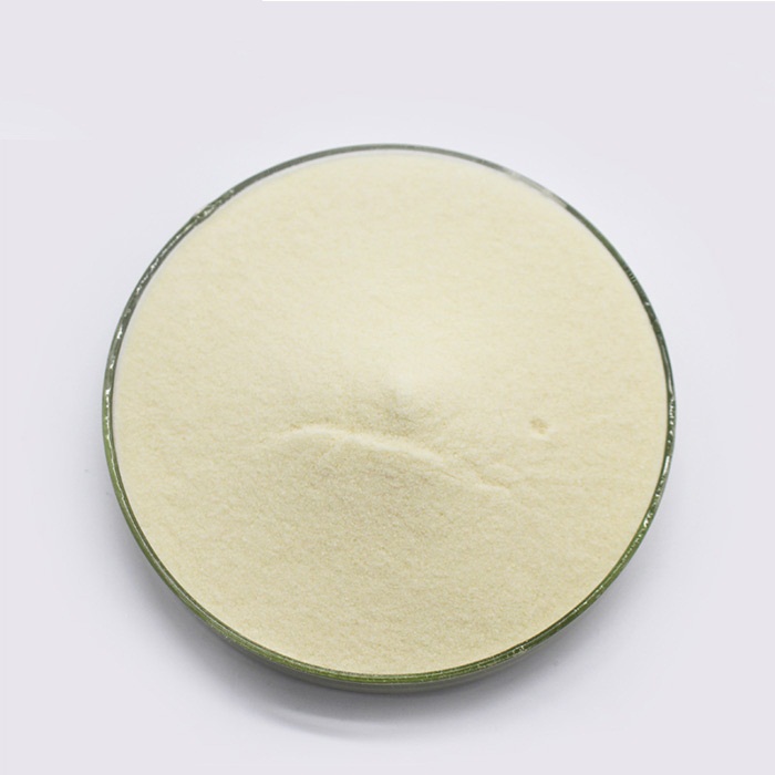 Xanthan Gum CAS 11138-66-2