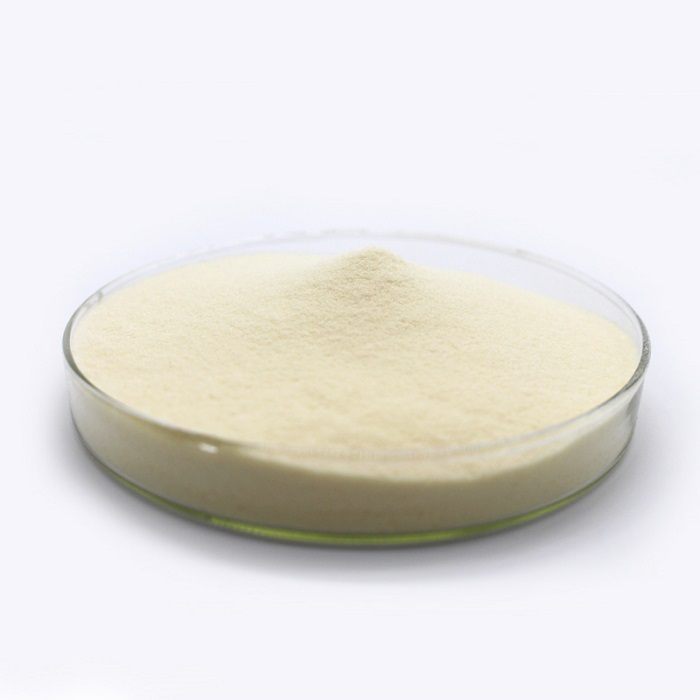 Soy Protein Concentrate CAS 9010-10-0