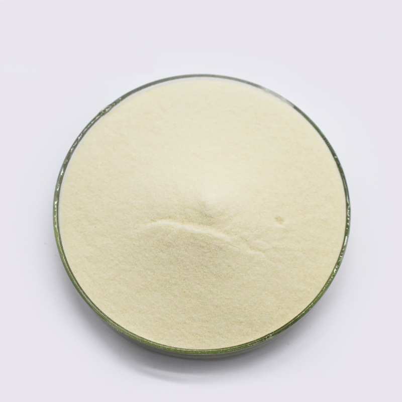 Soy Protein Isolate CAS 9010-10-0