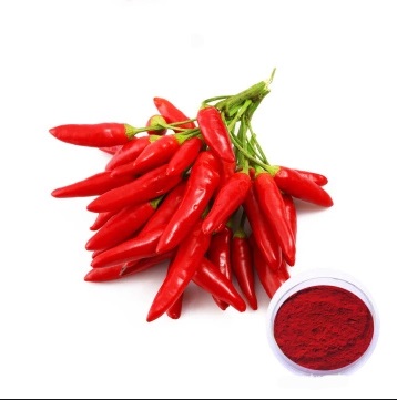 Paprika Oleoresin CAS 465-42-9