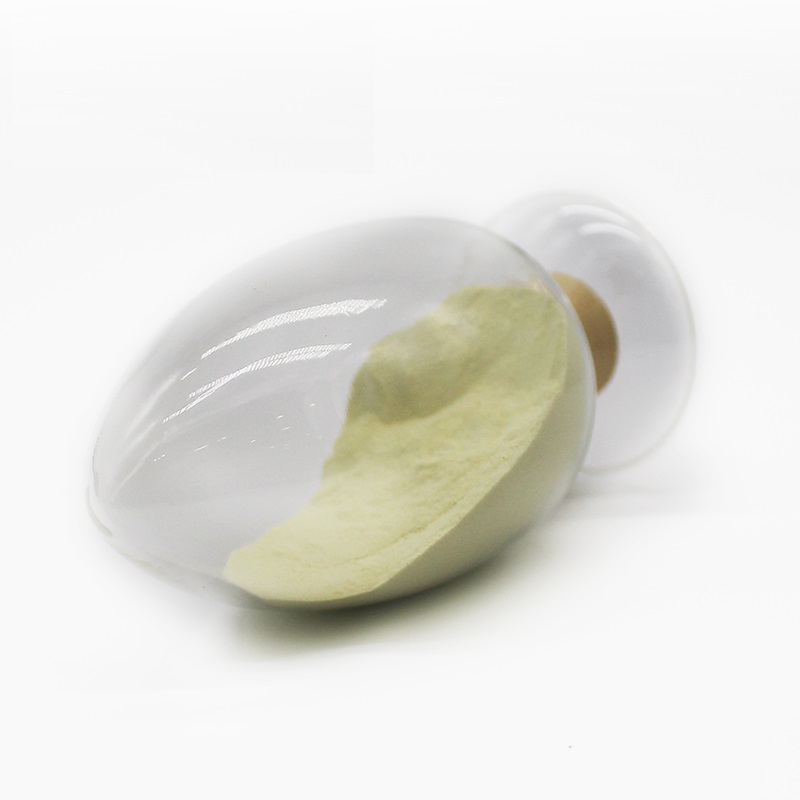 Fungus powder/Polysaccharides/Beta-glucans