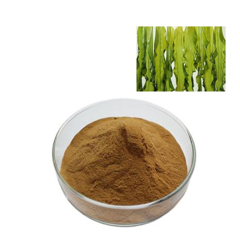Fucoidan (Brown Seaweed extract)