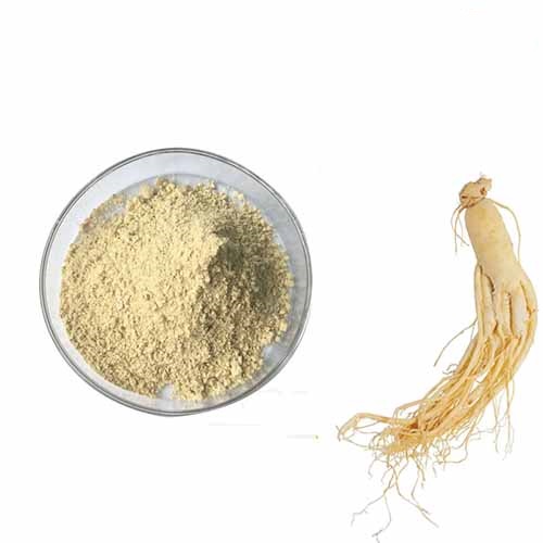 Ginseng root powder