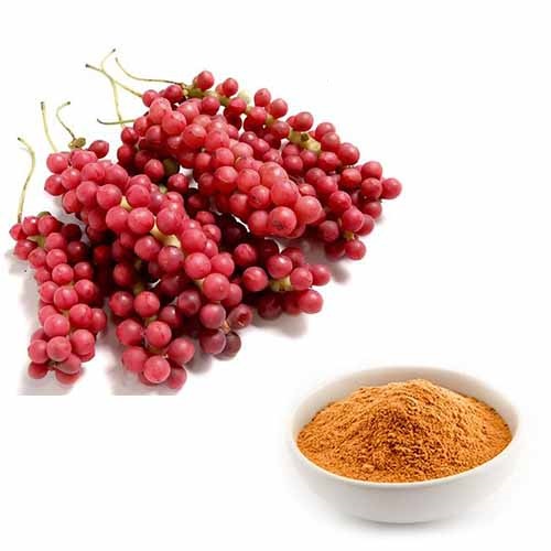 Schisandra extract